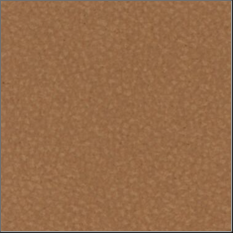 11-nutmeg