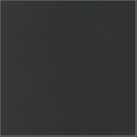 121-Ebony