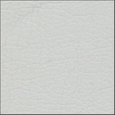 24-Alpaca