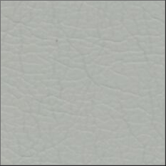 25-DoveGrey Dove Grey