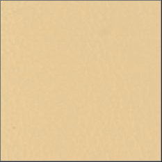 38-Cornsilk Cornsilk