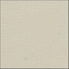 45-Parchment