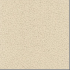 6-starfish