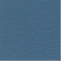 73-French-Blue French Blue