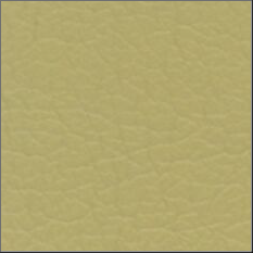 85-Rattan rattan
