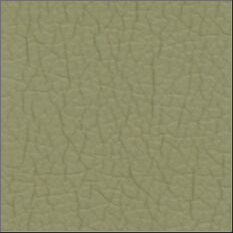 87-CELADON