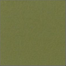 92-Avocado avocado